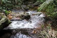 cachoeira-que-so-existe-durante-o-inverno-amazonico?-conheca-a-nova-descoberta-de-rondonia