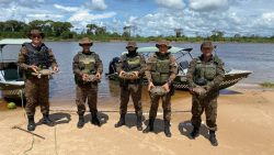 fiscalizacao-flagra-canoas-com-armas-e-animais-silvestres,-como-tracajas,-no-rio-guapore