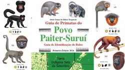 biologo-indigena-cria-guia-inedito-de-primatas-que-vivem-na-terra-indigena-do-povo-paiter-surui-em-ro